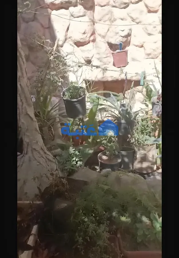 Property 2
