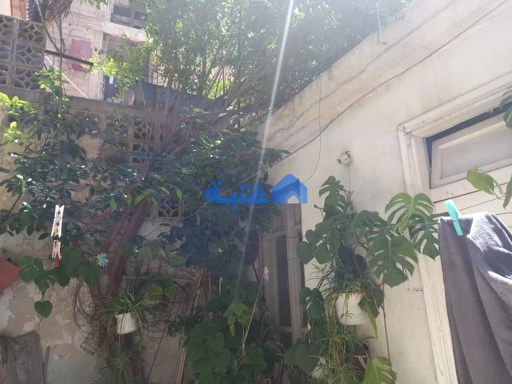 Property 4