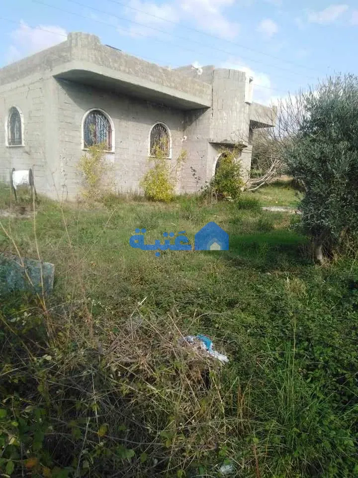 Property 4