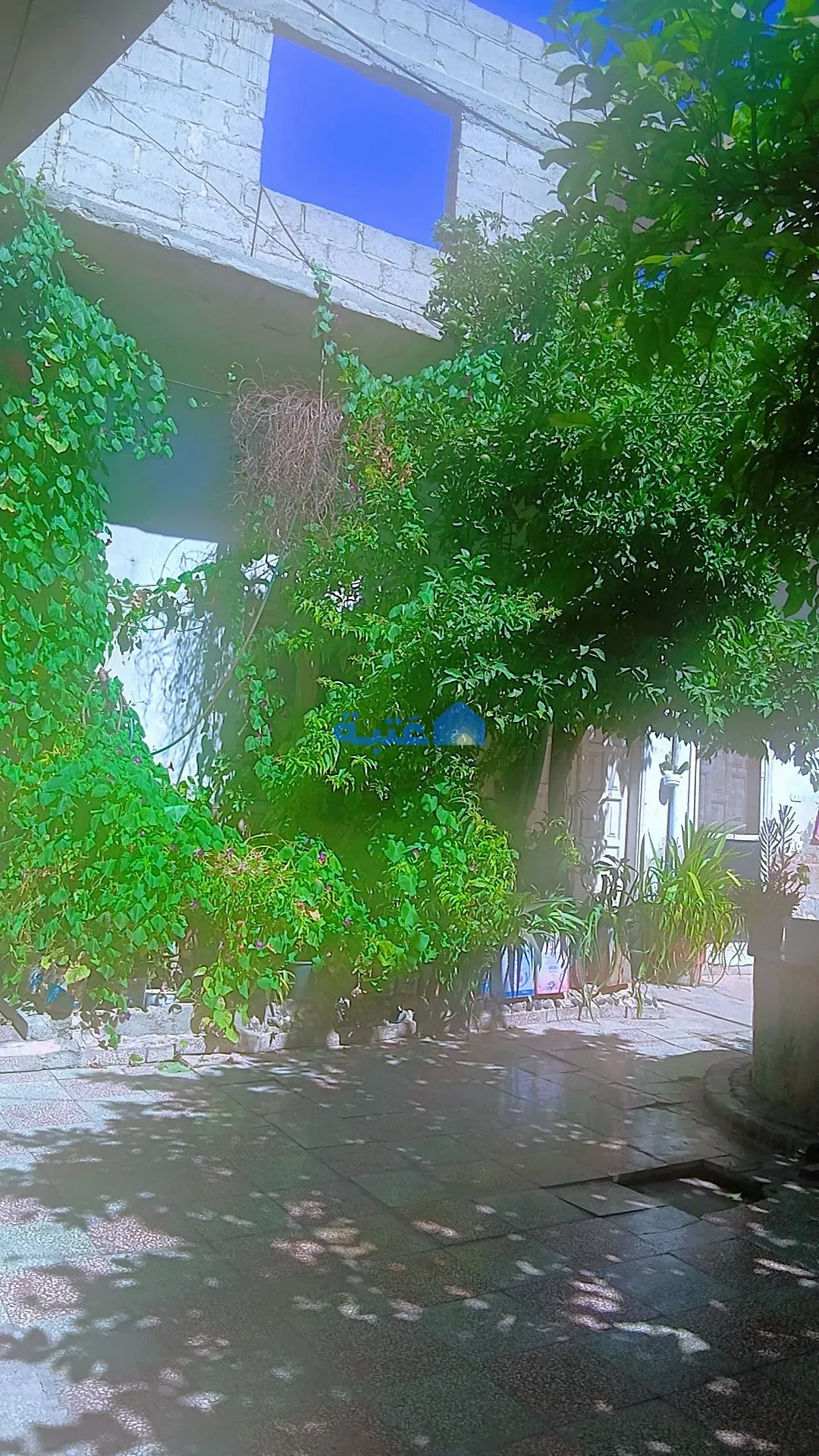 Property 4